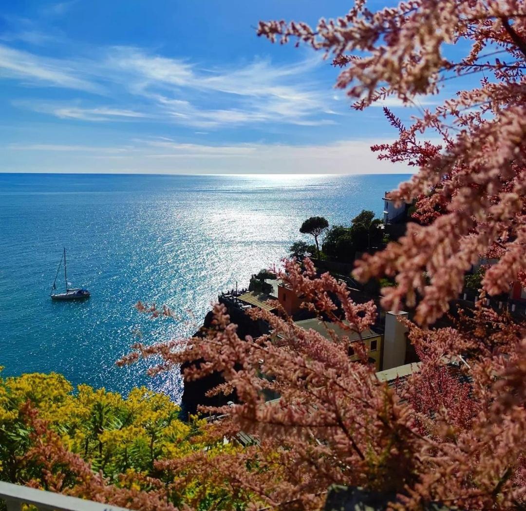Hotel Exotic Flavour House La Spezia Exterior foto